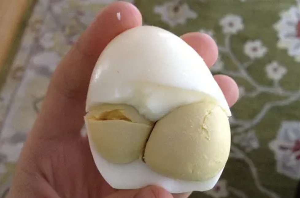 Yumurta sarısı lesitini